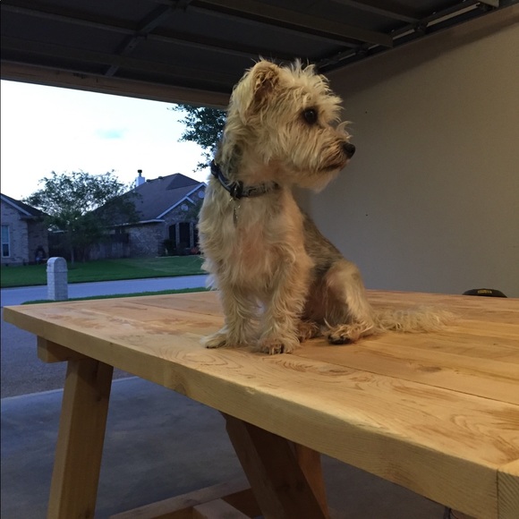 Meet your Posher, Greg - Picture 5 of 8